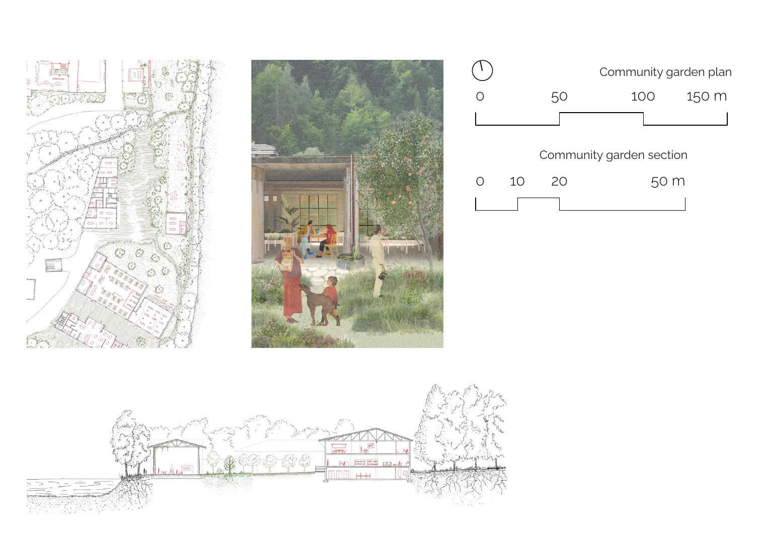 Community garden — plan, section and atmosphere