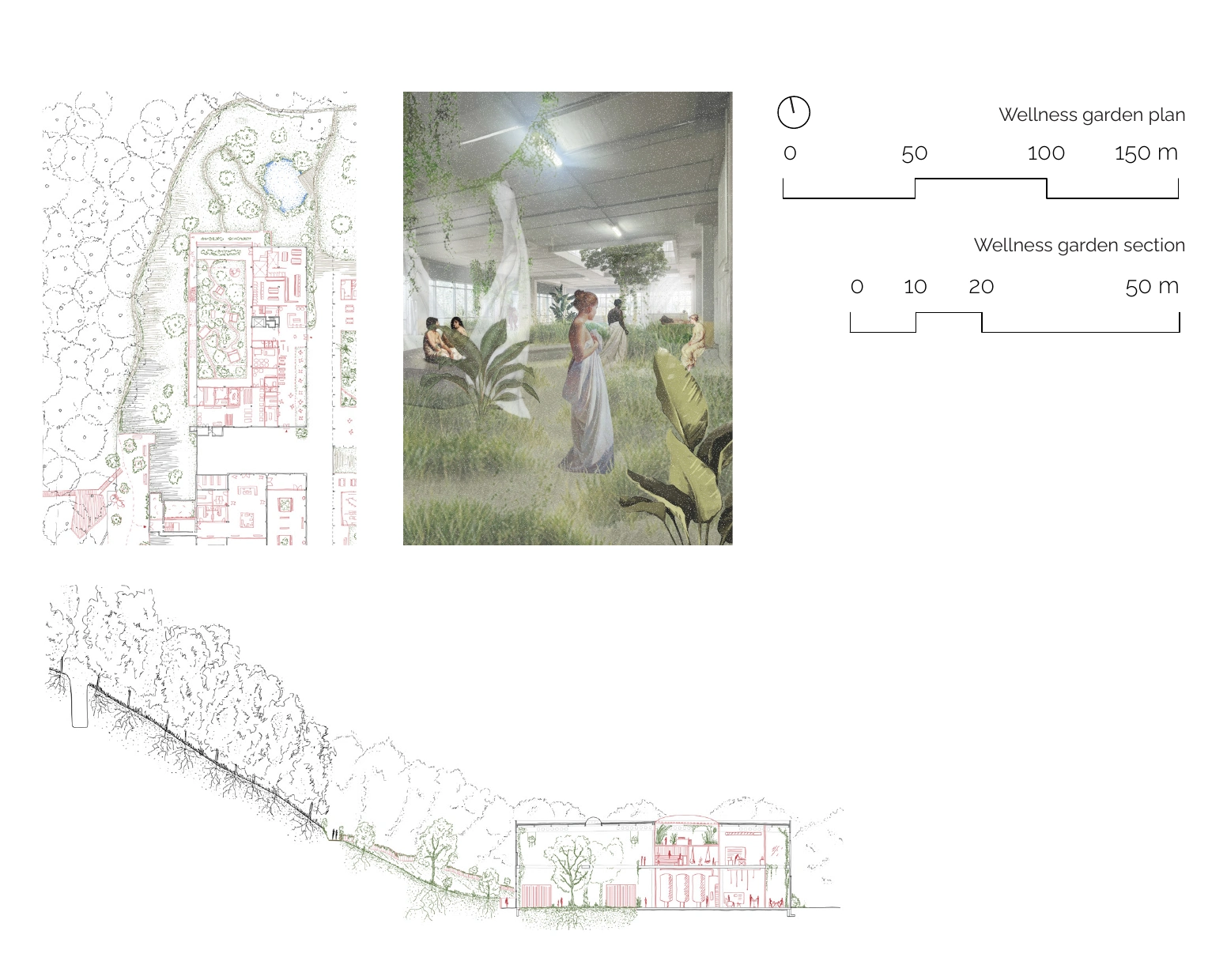 Wellness garden — plan, section and atmosphere